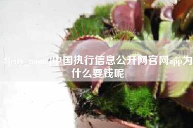 石嘴山中国执行信息公开网官网app为什么要钱呢