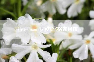 石嘴山579九宫格如何排