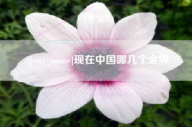 石嘴山现在中国哪几个金牌