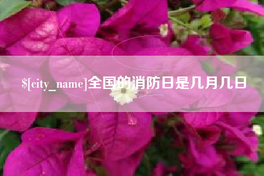 石嘴山全国的消防日是几月几日