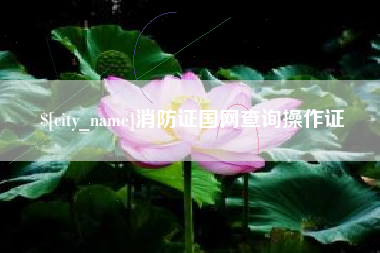 石嘴山消防证国网查询操作证