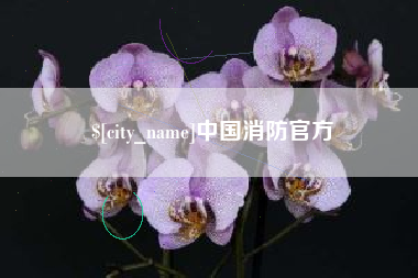 石嘴山中国消防官方