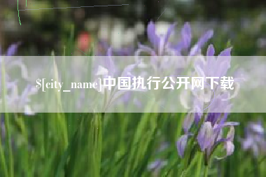 石嘴山中国执行公开网下载