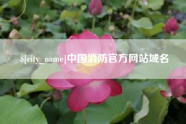 石嘴山中国消防官方网站域名