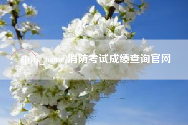 石嘴山消防考试成绩查询官网