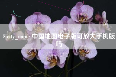 石嘴山中国地图电子版可放大手机版吗