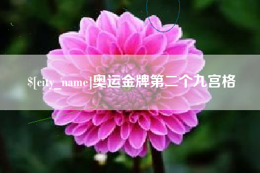 石嘴山奥运金牌第二个九宫格
