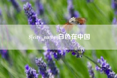 石嘴山白色在中国