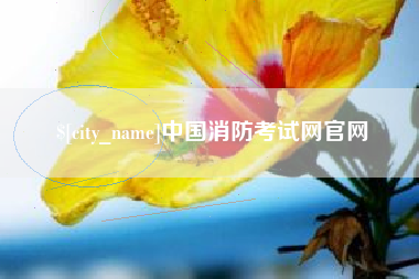 石嘴山中国消防考试网官网