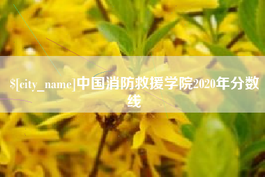 石嘴山中国消防救援学院2020年分数线