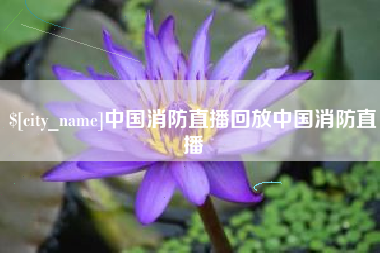 石嘴山中国消防直播回放中国消防直播