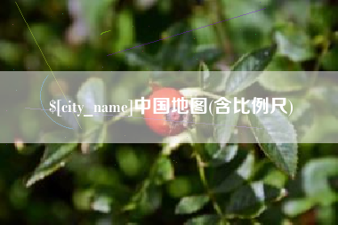 石嘴山中国地图(含比例尺)