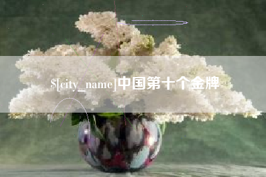 石嘴山中国第十个金牌