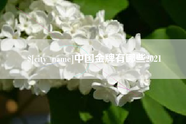 石嘴山中国金牌有哪些2021