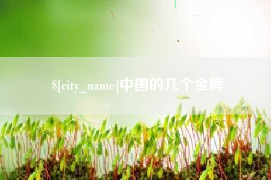 石嘴山中国的几个金牌