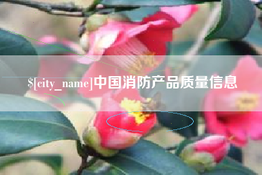 石嘴山中国消防产品质量信息