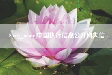 石嘴山中国执行信息公开网失信