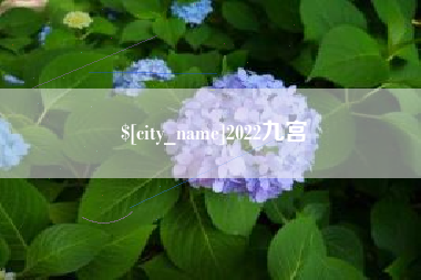 石嘴山2022九宫
