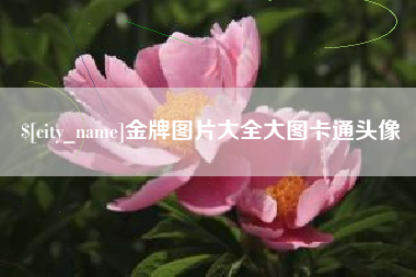 石嘴山金牌图片大全大图卡通头像