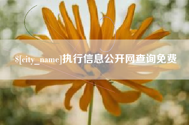 石嘴山执行信息公开网查询免费