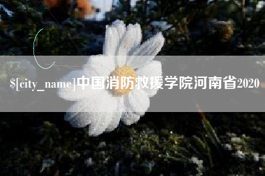 石嘴山中国消防救援学院河南省2020